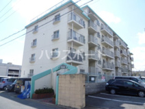 エメラルドマンション十条大宮の画像