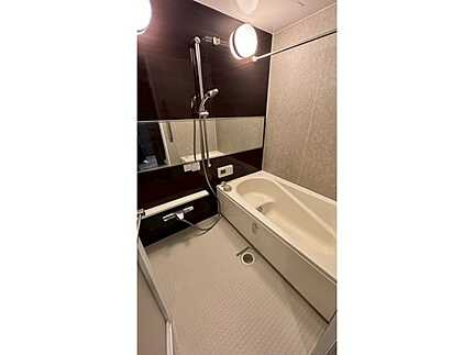 ライオンズ住吉橋リバーフォートのその他