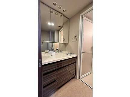 ライオンズ住吉橋リバーフォートのその他