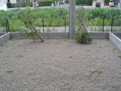 【その他】 | フォレストリバー | 庭