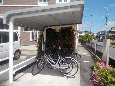 シェソワ　Ｂのその他