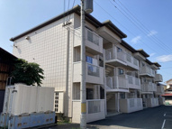 レピュートKの画像