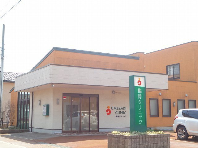 エフォート　Ⅱの周辺|梅崎クリニックまで2500m