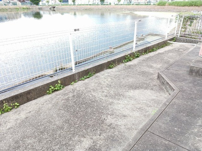 【バルコニー】 | ノルテラグーナ