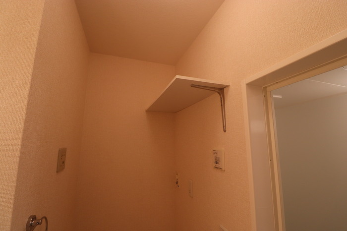 ジョイフラットの洗面所