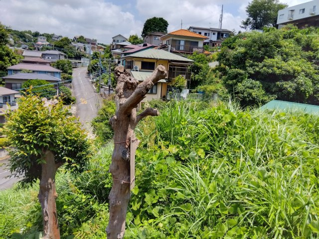 売土地　三島市大場の画像