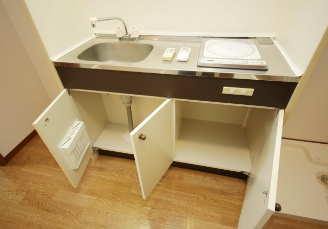 エクセルフジエのキッチン|別部屋同一間取りのお写真となります。