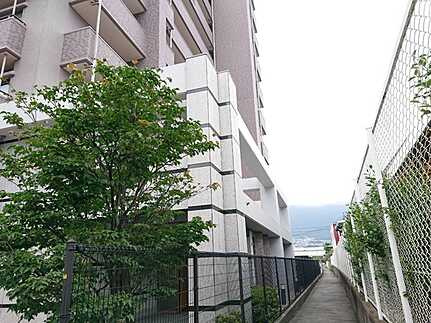 ルミナス五日市プレジールコイン通りのその他