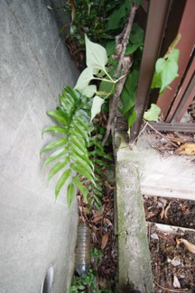 【その他】 | 【仲介手数料無料！!】横浜市青葉区榎が丘　建築条件無し売地　4780万円