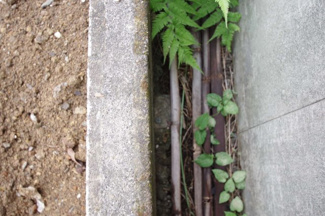 【その他】 | 【仲介手数料無料！!】横浜市青葉区榎が丘　建築条件無し売地　4780万円