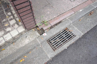 【その他】 | 【仲介手数料無料！!】横浜市青葉区榎が丘　建築条件無し売地　4780万円