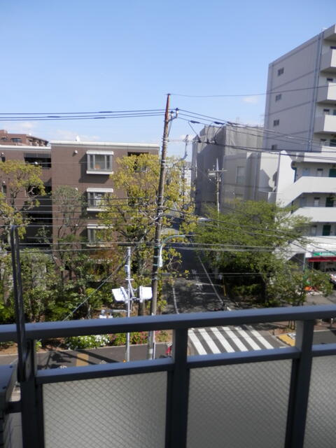 パールヒルズの展望