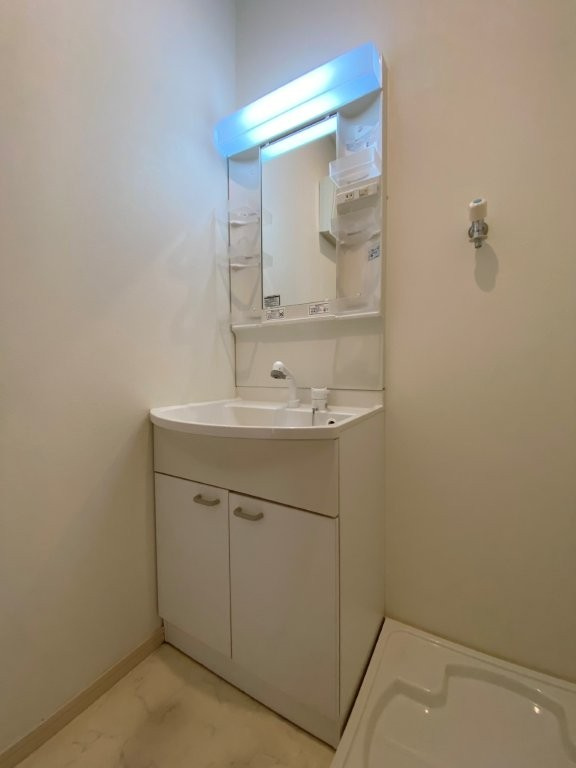 ザ・グランメゾン盛岡の独立洗面台