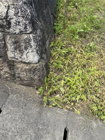 西条市下島山甲220-122のその他