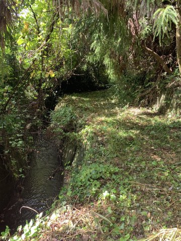 紀の川市桃山町最上　売土地の周辺