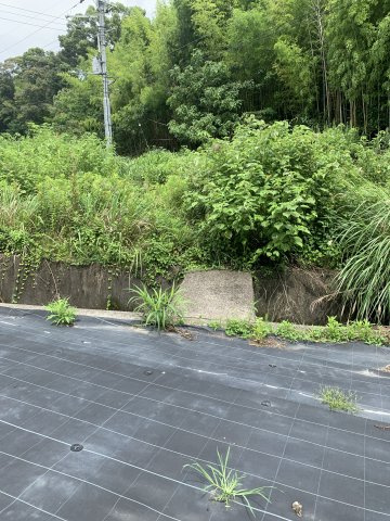 紀の川市桃山町最上　売土地の外観