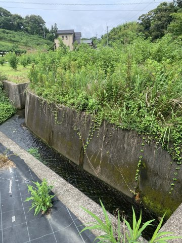 紀の川市桃山町最上　売土地の外観