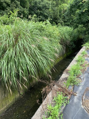 紀の川市桃山町最上　売土地の周辺