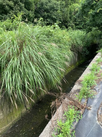 紀の川市桃山町最上　売土地の周辺