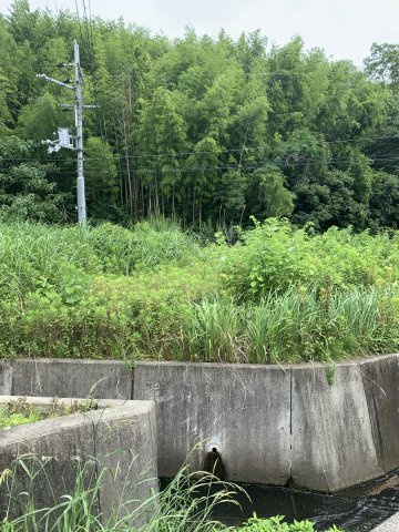 紀の川市桃山町最上　売土地の外観
