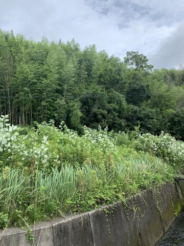 紀の川市桃山町最上　売土地の外観