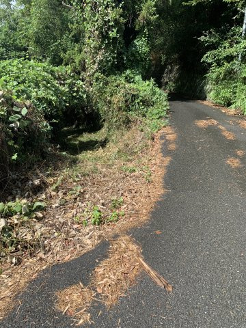 紀の川市桃山町最上　売土地の外観