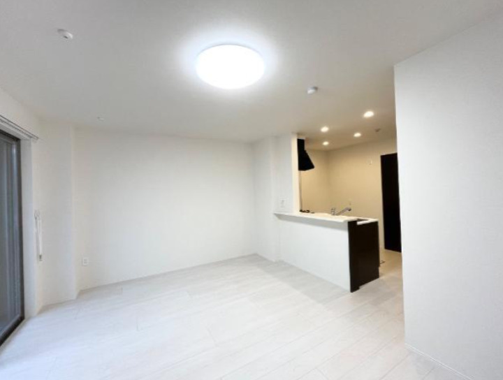 Luminous coatの居間・リビング