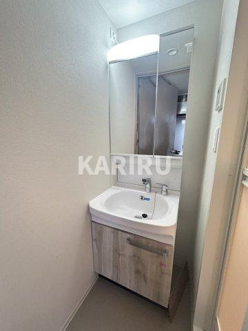 プレサンス緑橋ソレアスの洗面所