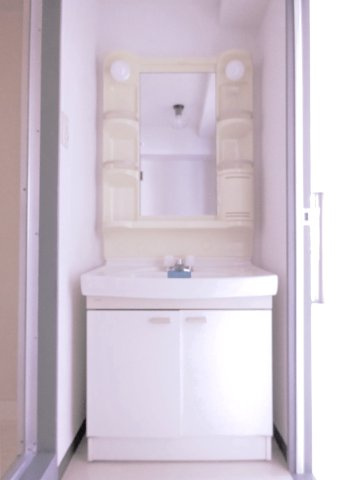 レナジア東所沢の洗面所