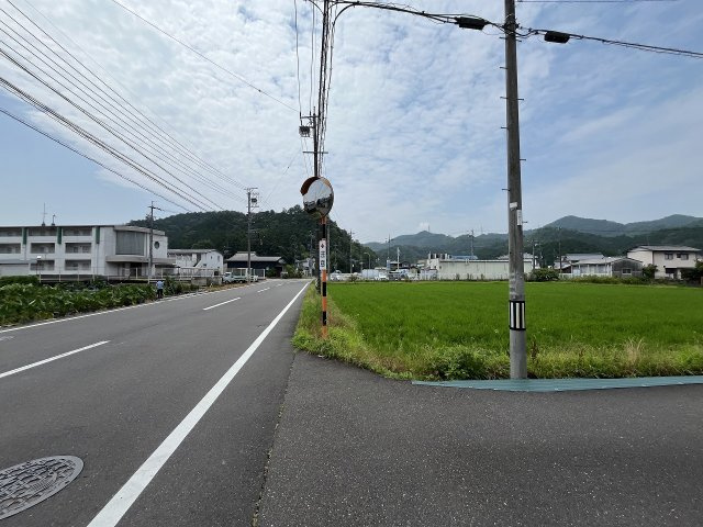 土地　太郎丸知之道の前面道路含む現地写真|北東角の電柱とカーブミラー