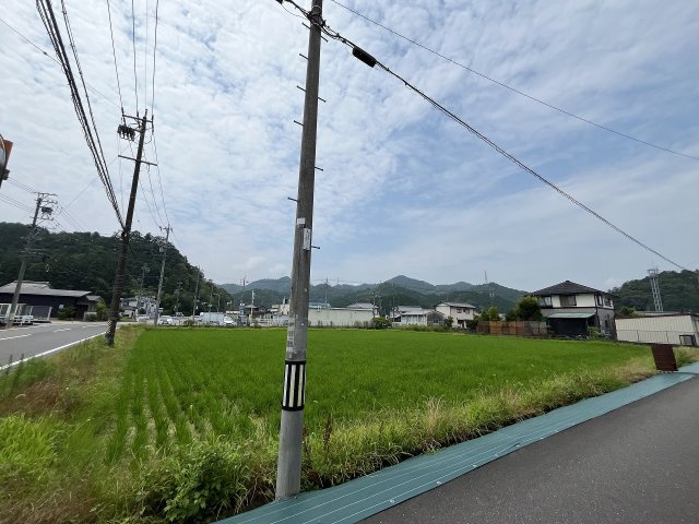 土地　太郎丸知之道の外観|北側角　電柱