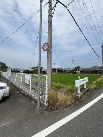 土地　太郎丸知之道の前面道路含む現地写真|南東角