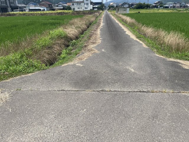 土地　太郎丸北郷の前面道路含む現地写真|北道路