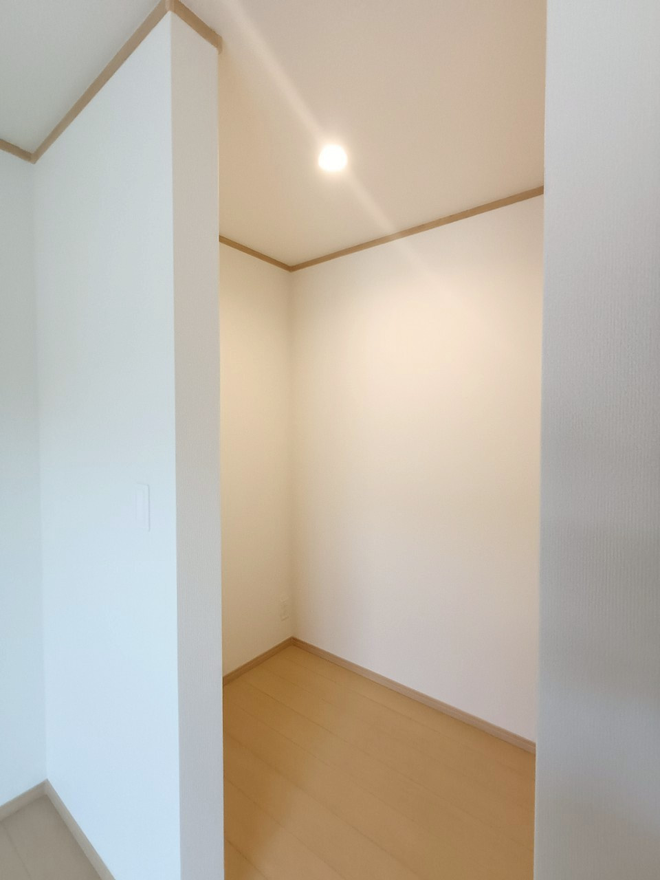 八潮市　緑町3丁目　新築戸建　　全2棟の収納|施工例です