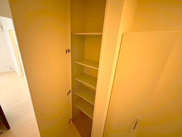 メゾン・ド・メトロ西中島南方の収納