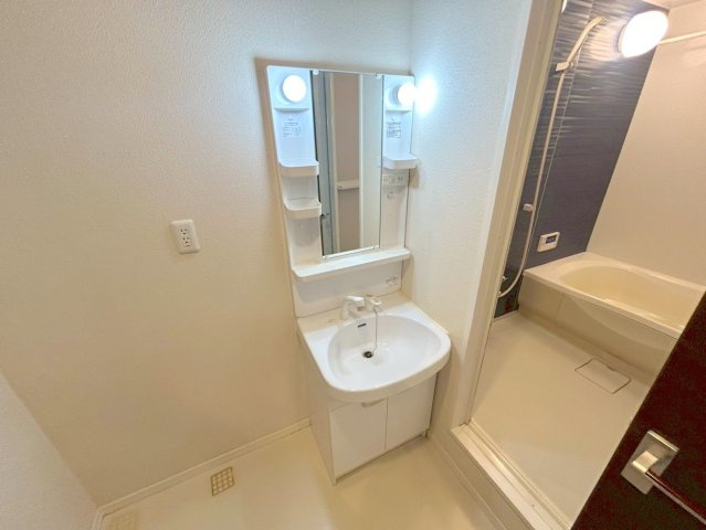 メゾン・ド・メトロ西中島南方の洗面所