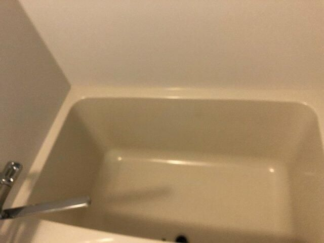 ＳＹＮＥＸ　ＰＲＥＭＩＥＲ　ＡＳＡＫＵＳＡＢＡＳＨＩの浴室