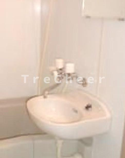 リリックコート313の洗面所