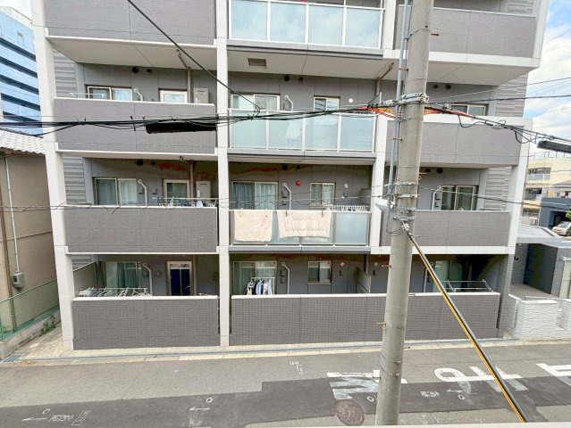 サザンモデラートの展望