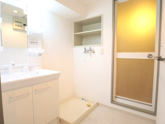 グラントルム弐番館の洗面所