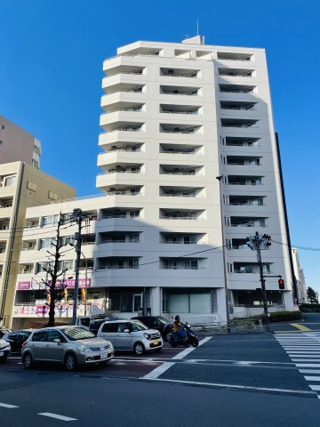 護国寺ロイアルハイツの外観