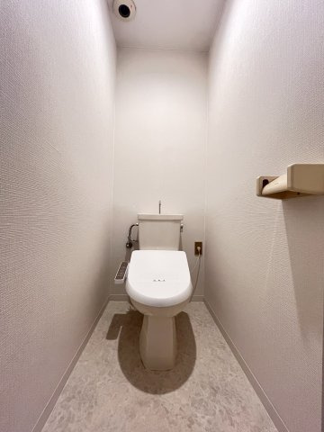 大阪市城東区天王田の賃貸マンションのトイレ