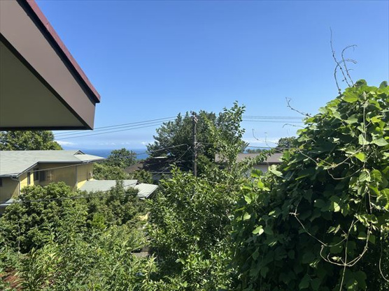 【庭】 | 伊豆急伊豆高原　戸建