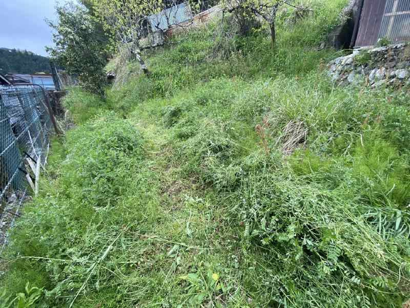 田舎暮らし　御杖村土屋原のその他