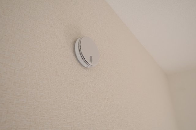 【その他】 | 《仲介手数料無料》岩槻区日の出町1-35(1号棟)新築一戸建てリーブルガーデン | 撮影日 2025年10月20日 14:20 曇り