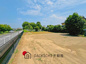 羽生市南羽生1丁目 売地 全1区画 の画像