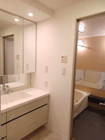 ウェリスシティ大森タワーの洗面所