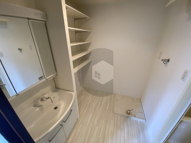 ルミエール・フジの洗面所