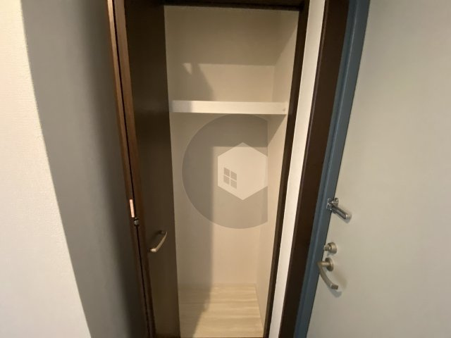 ルミエール・フジの収納