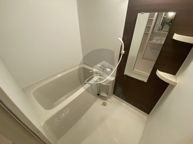 ルミエール・フジの浴室